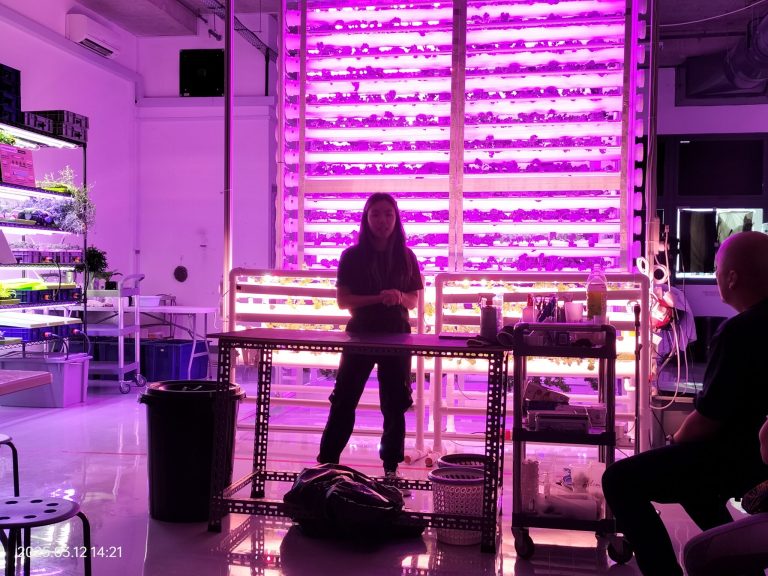 Green Loop Farms- Really Green Microgreens
